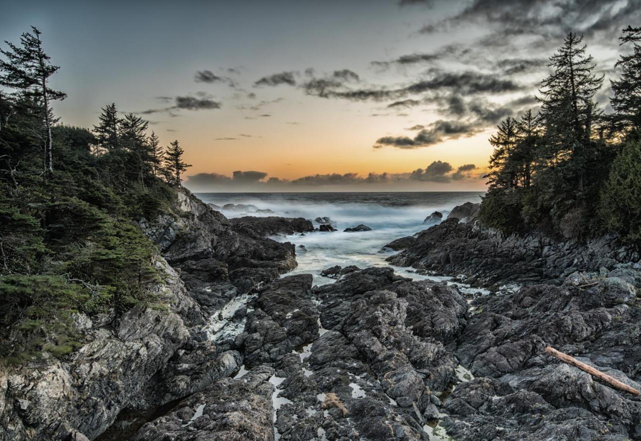 Wild Pacific Guest Suites Ucluelet Eksteriør billede